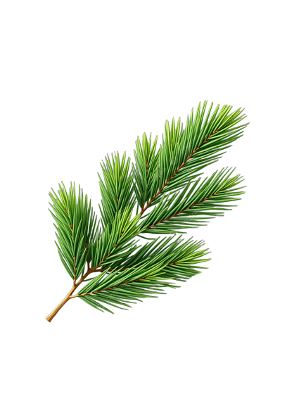 pirul